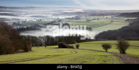 Des South Downs vista menant à matin brouillard dans la vallée ci-dessous. Banque D'Images