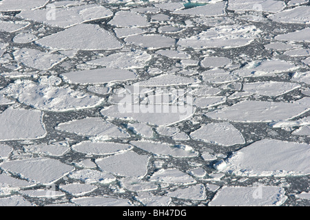 Les icebergs dans l'océan du Sud, au large de la côte de l'Antarctique. Banque D'Images