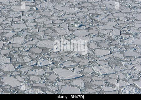 Les icebergs dans l'océan du Sud, au large de la côte de l'Antarctique. Banque D'Images