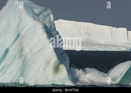 Les icebergs dans l'océan du Sud, au large de la côte de l'Antarctique. Banque D'Images
