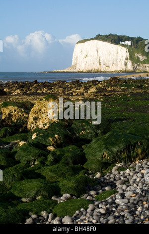 Rivage Stoney en été à St Margarets Bay près de Douvres. Banque D'Images