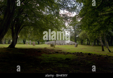 Bois entourant Clava Cairns. Banque D'Images