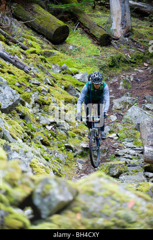 Un vélo de montagne monte un sentier rocheux, seule piste dans le nord de l'Idaho. Banque D'Images