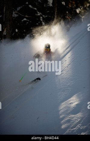 Un skieur d'arrière-pays est enterré dans billlowing nuage de neige comme il skis les arbres des montagnes Selkirk, au Canada. (Rétroéclairage) Banque D'Images