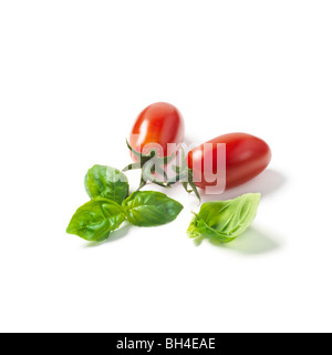 Tomates italiennes et de basilic sur un fond blanc Banque D'Images