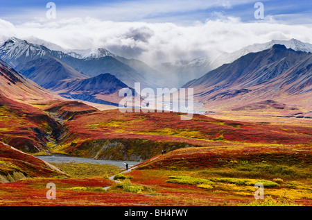 Couleurs d'automne et de l'Alaska, Denali National Park, Alaska Banque D'Images