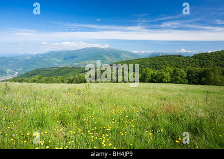 Pré alpin près de Foix. Midi-Pyrenees. La France. Banque D'Images