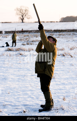 Gunneer faisan tir au cours du tournage. Peu de Dalby Estate. Leicestershire. United Kingdom. Banque D'Images