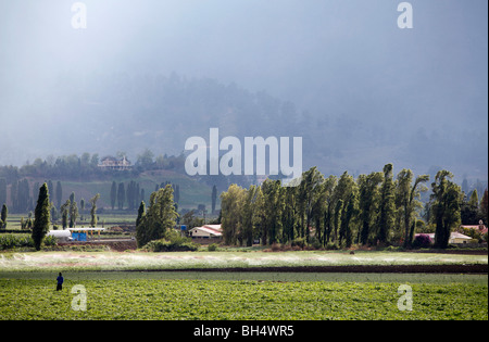 Région agricole, Constanza, République Dominicaine