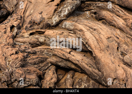 Close-up des coulées, partie intégrante du paysage de l'Isla Bartolome, la beauté classique des Galapagos. Banque D'Images