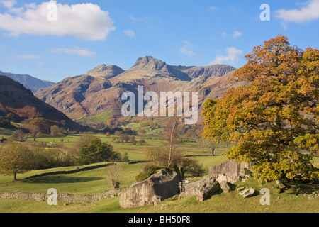 Avis de Elterwater et les Langdale Pikes dans le Lake District. Banque D'Images