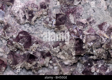 Cristaux de fluorite Rookhope, County Durham, Royaume-Uni Banque D'Images