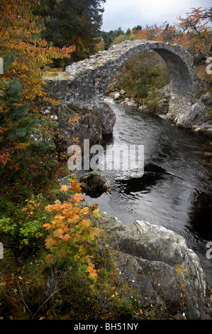 Packhorse historique pont dans Carrbridge. Banque D'Images