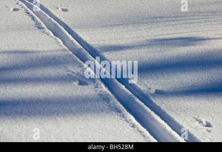 Des pistes de ski dans la neige profonde. Banque D'Images