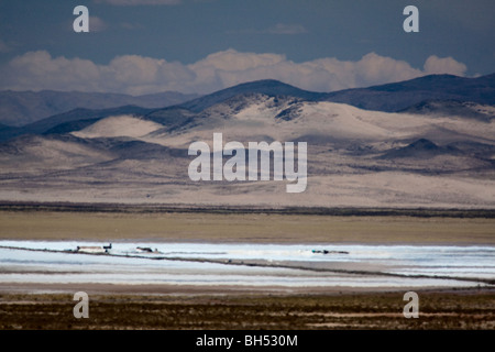 Salinas Grande, la Route 52, Province de Jujuy, Argentine Banque D'Images