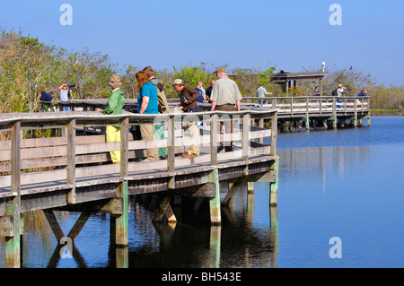 Les visiteurs du parc national des Everglades, Florida, USA Banque D'Images