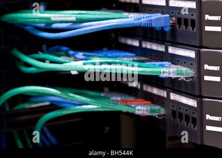 Câbles fibre connecté à des serveurs dans un datacenter Banque D'Images
