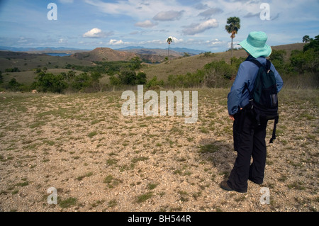 Randonneur donne sur l'île de Komodo, Rinca vers le Parc National de Komodo, en Indonésie. Pas de monsieur Banque D'Images