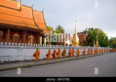 Les moines bouddhistes dans leur rituel du matin, Luang Prabang Banque D'Images