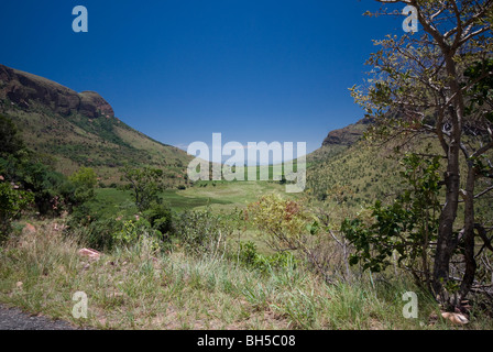 Le Waterberg en parc national de Marakele, Gauteng, Afrique du Sud Banque D'Images