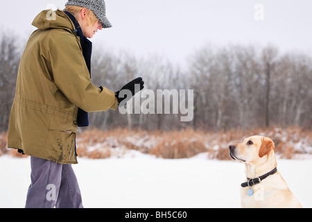 Sa formation femme Labrador Retriever jaune pour rester Banque D'Images