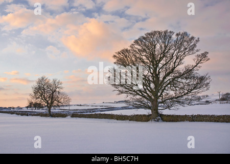 Coucher du soleil d'hiver près de Leyburn, Yorkshire Dales Banque D'Images