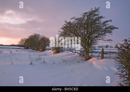 Coucher du soleil d'hiver près de Leyburn, Yorkshire Dales Banque D'Images