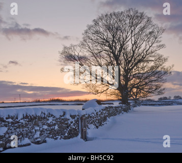 Coucher du soleil d'hiver près de Leyburn, Yorkshire Dales Banque D'Images