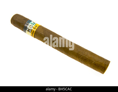 Habana CIGAR COHIBA Siglo II fait main fait main tube cigare cigares de La Havane LA HAVANE CUBA haute qualité fumeur fumée Banque D'Images