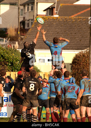 La sortie line out, North Petherton contre Bude, Cornwall match de rugby Banque D'Images