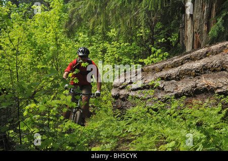 Les motards sur le sentier de la rivière Mackenzie Banque D'Images