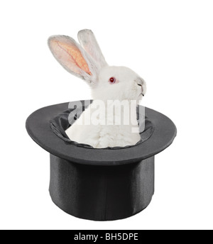 Lapin dans un chapeau isolé sur fond blanc Banque D'Images