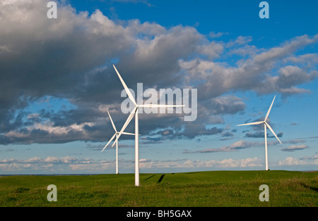 Shiloh II Projet de vent près de Rio Vista, en Californie. Banque D'Images