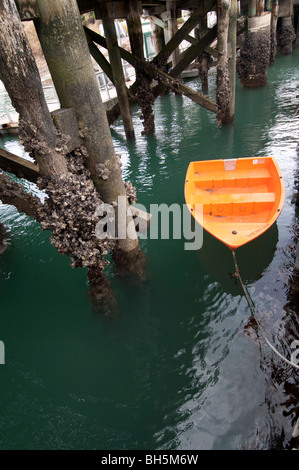 Dingy Orange fatigué jusqu'à pier couverte de balanes à Waiheke island Banque D'Images