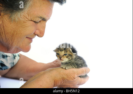 Senior woman holding kitten - Fond blanc Banque D'Images