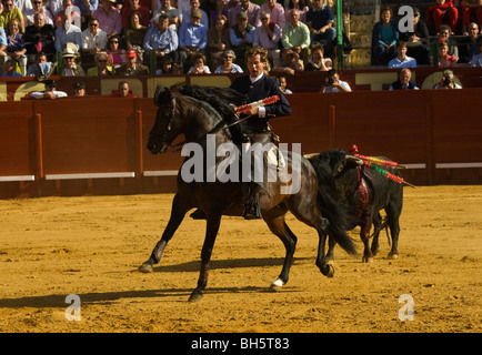 L'Andalousie Espagne Corrida taureau cheval tradition Banque D'Images