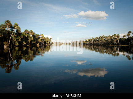 En particulier une journée calme le long de la rivière Saint-Jean, en Floride. Banque D'Images