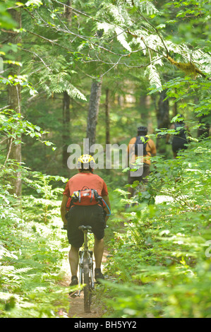 Les motards sur le sentier de la rivière Mackenzie Banque D'Images