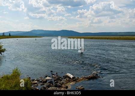 Pêcheur sur la Henry's Fork de la Snake River à Dernière chance Banque D'Images