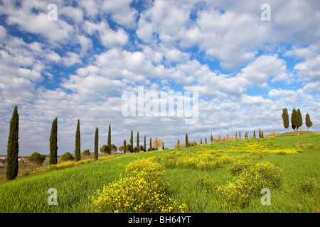 D'Orcia au printemps Banque D'Images