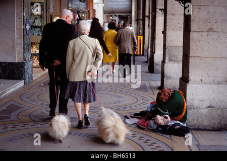 Mendiant SUR LE TROTTOIR DE LA RUE DE RIVOLI, LE CONTRASTE ENTRE LES RICHES À LEURS CANICHES ET LES PAUVRES, PARIS (75), FRANCE Banque D'Images