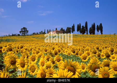 Au printemps de la vallée de l'ère Banque D'Images
