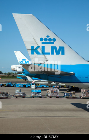 Boeing 747-400 KLM et d'autres aéronefs à l'entrée à l'aéroport de Schiphol, Amsterdam, Pays-Bas Banque D'Images