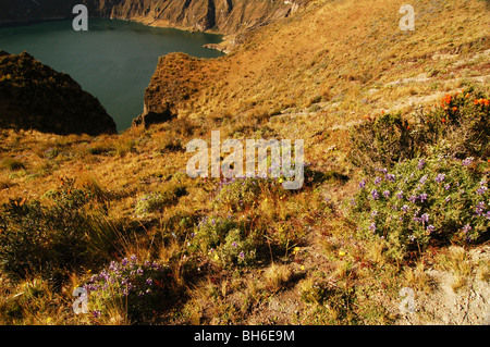 Quilotoa, Equateur, Aperçu de volcan Quilotoa, le volcan le plus à l'Ouest dans les Andes équatoriennes, et son livre vert rempli d'eau thr Banque D'Images