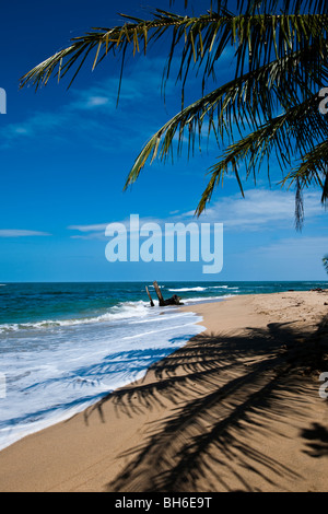 L'idylic Paradise beach de Punta Uva près de Puerto Viejo de Talamanca au sud-est de la province de Limón, Costa Rica Banque D'Images