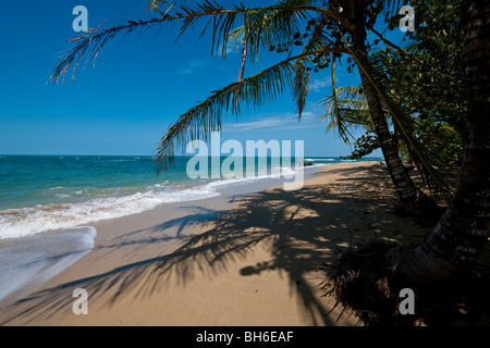 L'idylic Paradise beach de Punta Uva près de Puerto Viejo de Talamanca au sud-est de la province de Limón, Costa Rica Banque D'Images