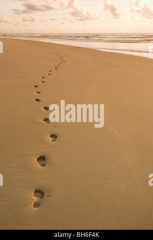 Des traces de pas dans le sable Banque D'Images