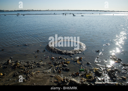 L'île aride dans Dead Horse Bay dans le Gateway National Recreation Area à Brooklyn à New York Banque D'Images