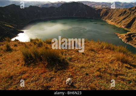 Quilotoa, Equateur, Aperçu de volcan Quilotoa, le volcan le plus à l'Ouest dans les Andes équatoriennes, et son livre vert rempli d'eau thr Banque D'Images