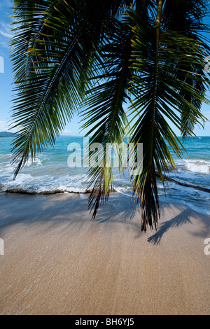 L'idylic Paradise beach de Punta Uva près de Puerto Viejo de Talamanca au sud-est de la province de Limón, Costa Rica Banque D'Images